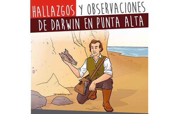 Hallazgos y observaciones de Darwin en Punta Alta