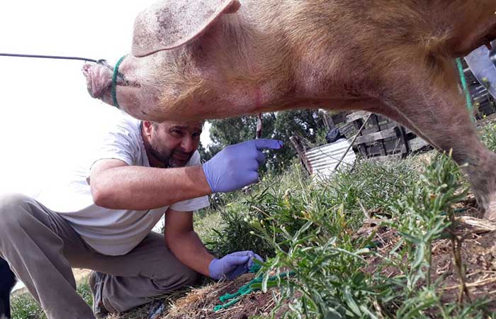Reactivan producción tras las pérdidas por la inundación