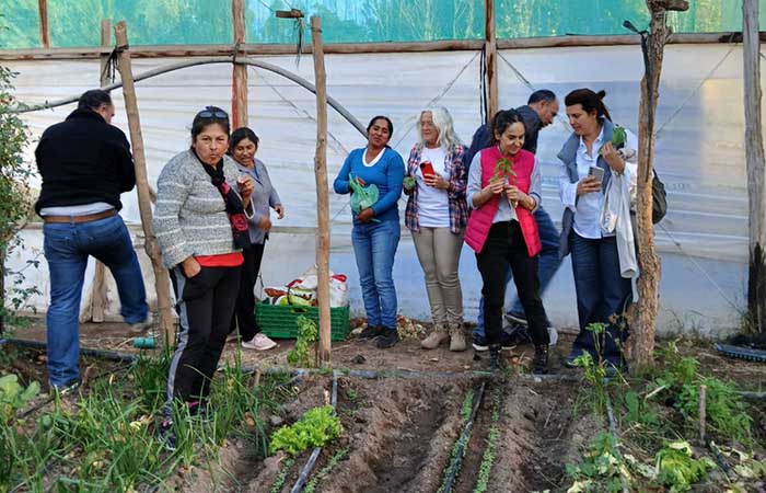Producen plantas aromáticas para elaborar cosmética